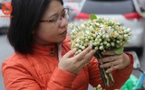 Hà Nội trong hương bưởi tháng 3